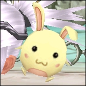 Image:MiniBunny.png