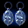 Image:Item-Mini_Dragon's_Earrings_of_Protection.png
