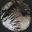 Image:BeastLeatherLQ.png